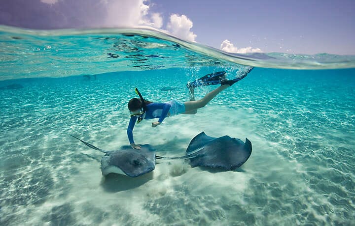 bahamas-beach-vacations-snorkeling-sting-rays-01 bahamas-beach-vacations-snorkeling-sting-rays-01