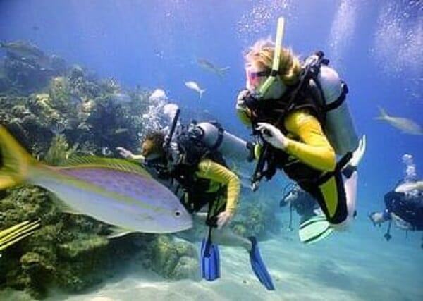 barcelo maya dive resort 1