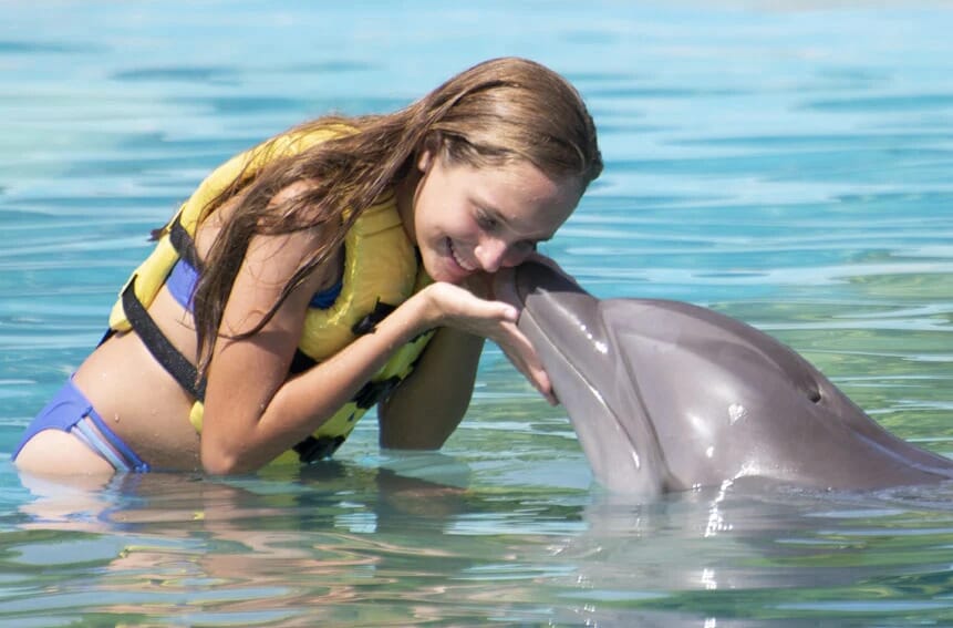 dolphinaris galery friendly 1